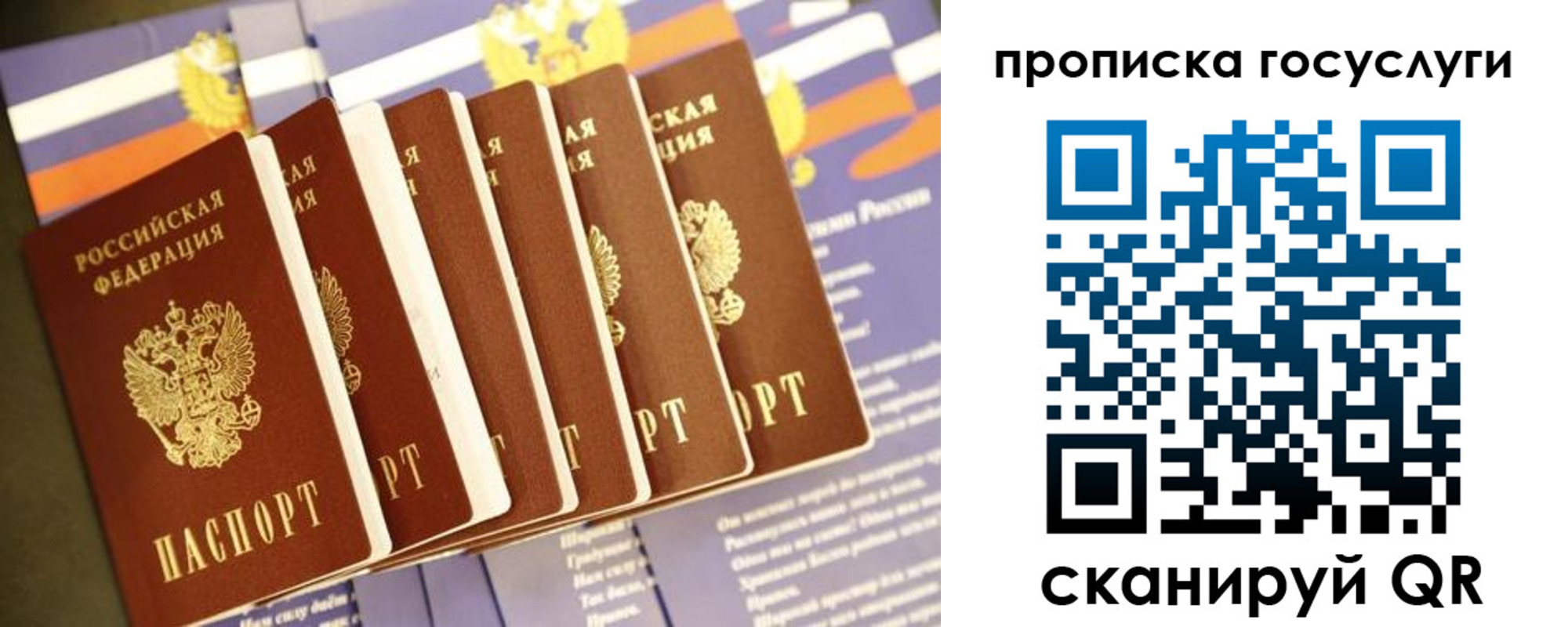 временная регистрация в Гвардейске